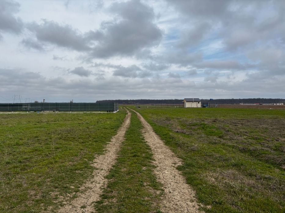 Loturi Teren Intravilan 538mp, Săbăreni