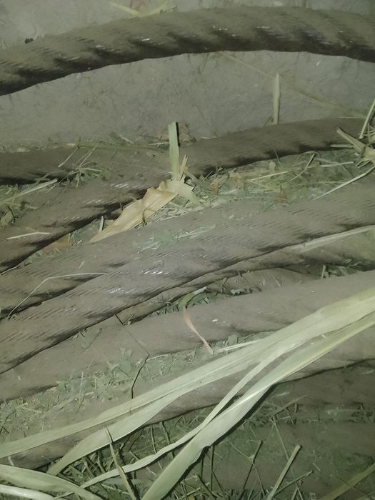 Tros Yangi 350 metr 3.8