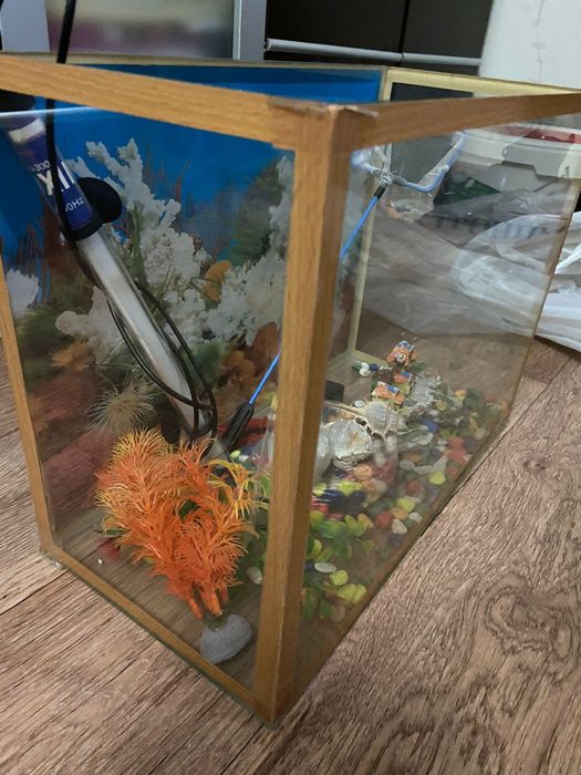 Аквариум для рыбок