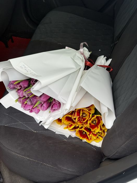 Тюльпаны Шымкент