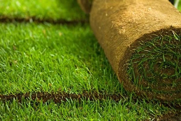 Montaj rulouri gazon siteme de irigan pregarire teren pt montaj