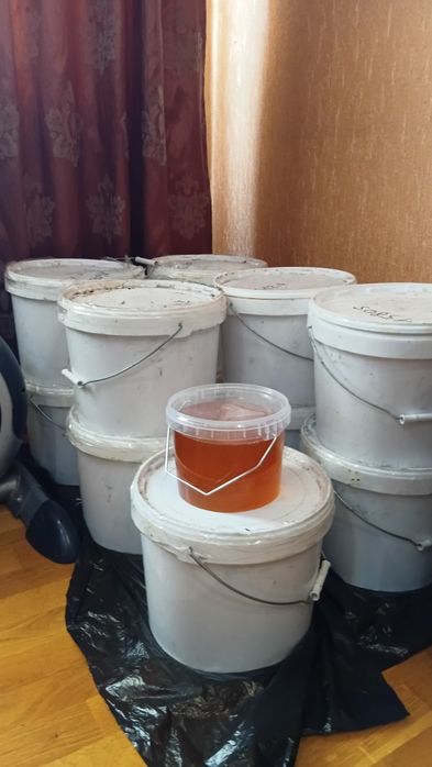 Продам мёд разнотравье