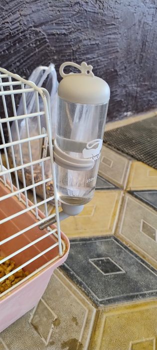 Продаются кролики 4 штуки