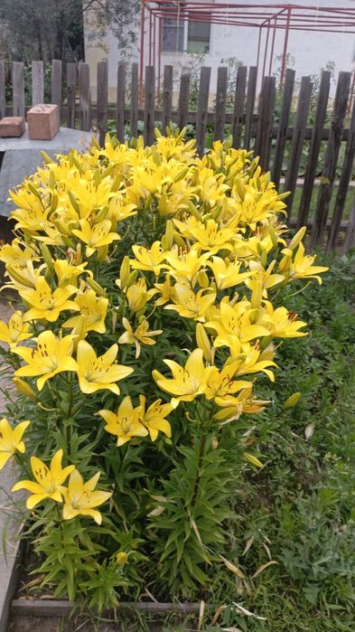 Продам 4 комнатный дом