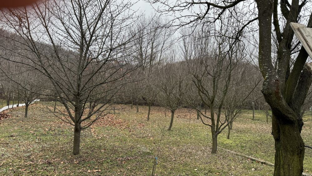 Casa de vanzare ,Bucsani Targoviste