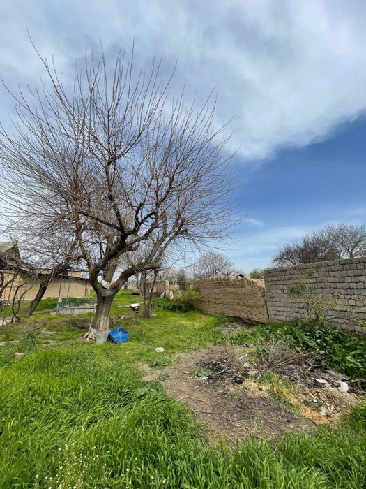 Дача сотилади!