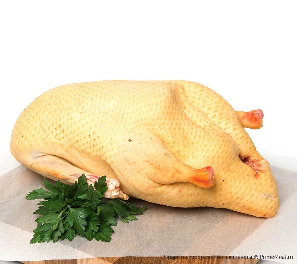 Мясо утки бройлера фото Мясо утки бройлера фото