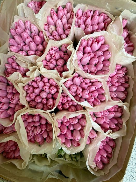 Тюльпаны для девушки | Астана