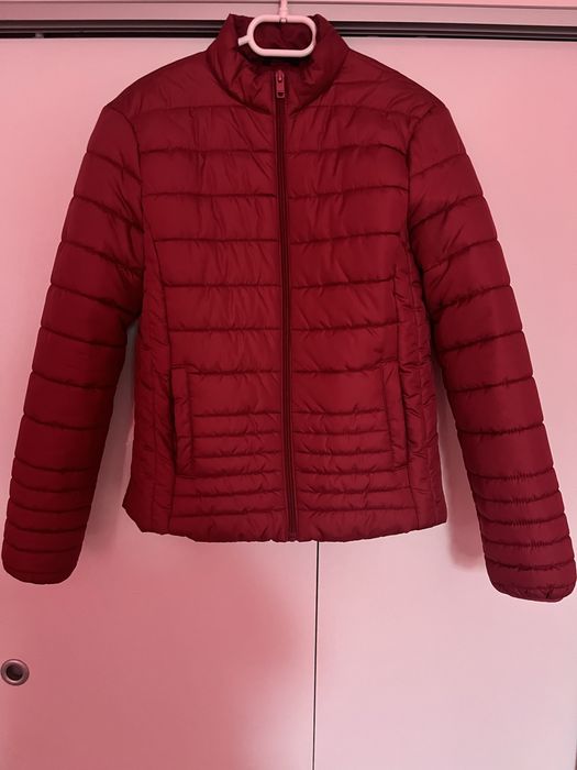 Червено яке Terranova