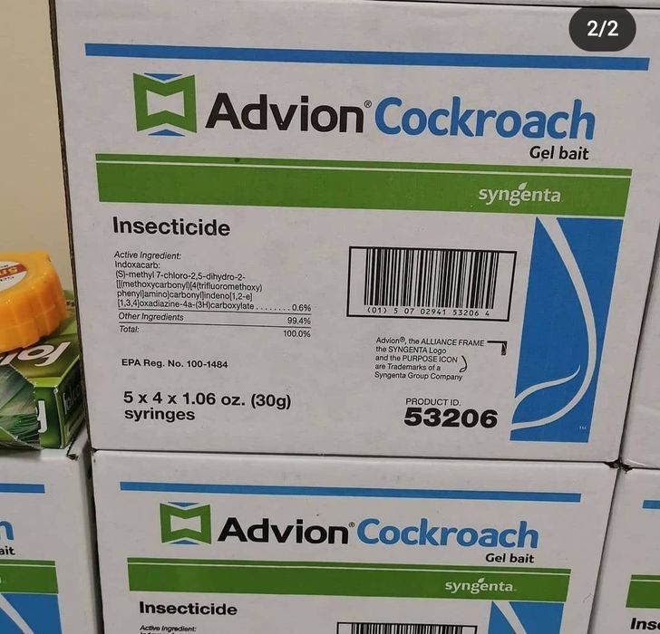 Tarakan dori chumoli dori(advision coockroach)