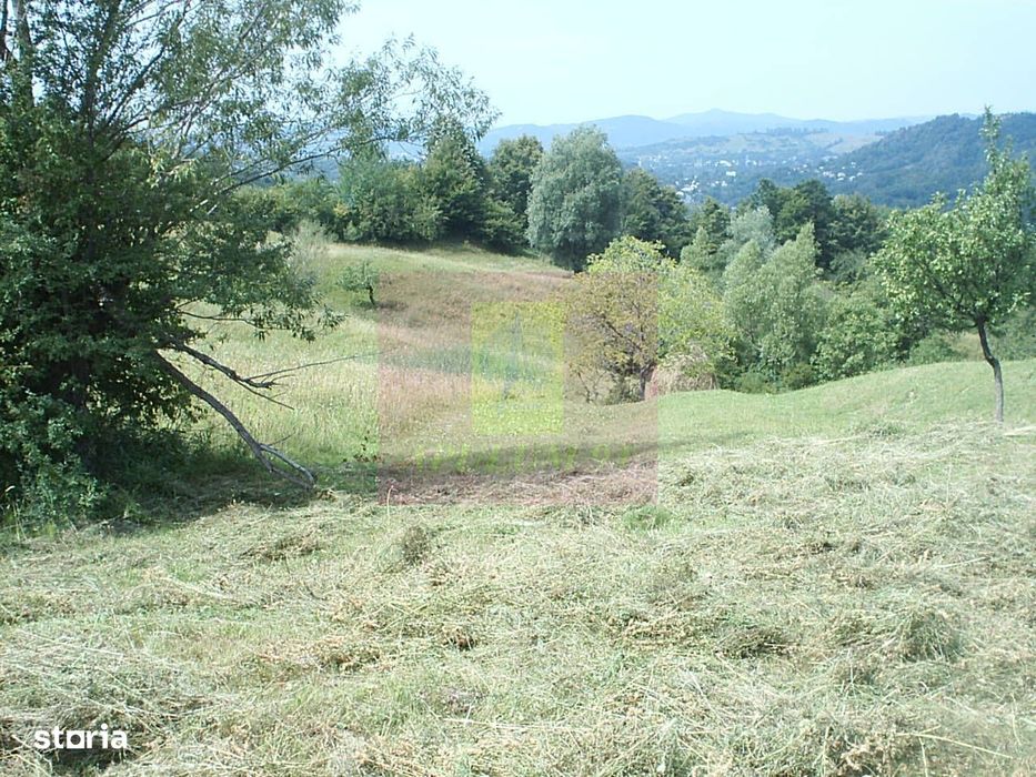 Teren extravilan de vanzare in Telega