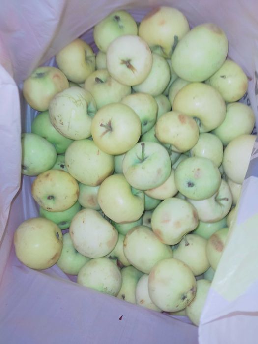 Продам дачный участок