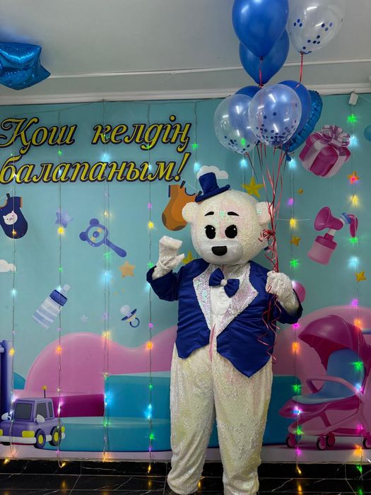 Теди и Леди аю дар сатылады