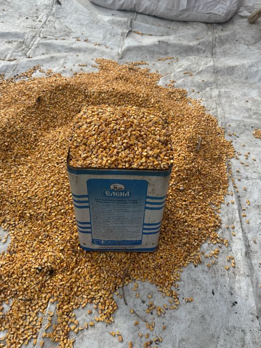 Продавам царевица