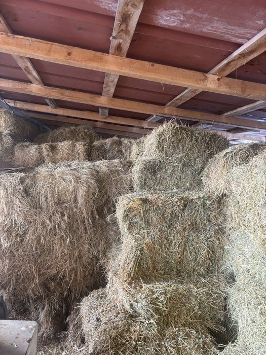 VAND baloti lucerna,fan si coceni,FOARTE BINE PASTRATI