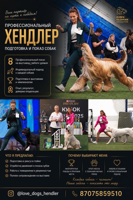 Кинолог хендлер