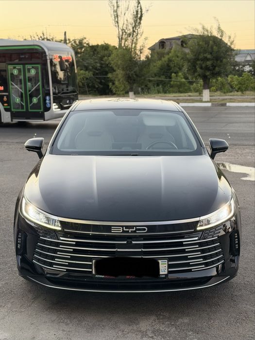 BYD Chazor 2024 2-pozitsiya
