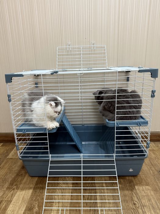 Клетка для питомцев, кафас хайвонлар учун, qafas hayvonlar uchun