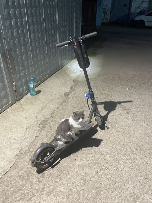 Чип Тунинг за електрически тротинетки Xiaomi / Ninebot