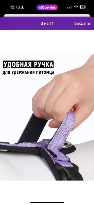 Шлейка для собак