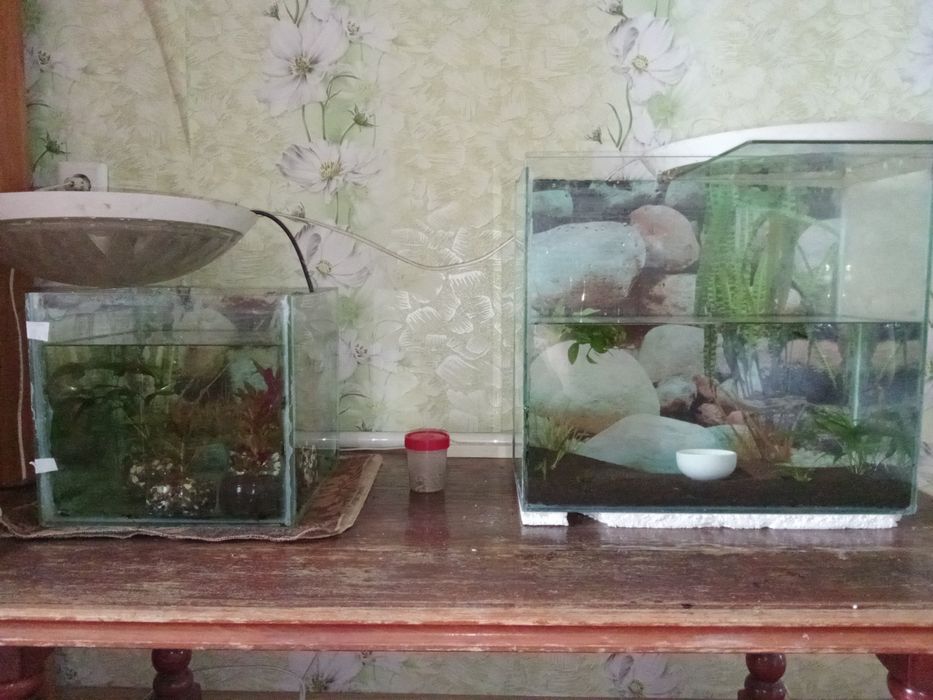 П ро да еться...