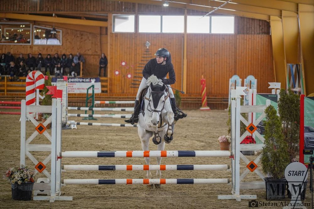 Cal de sport de vanzare!