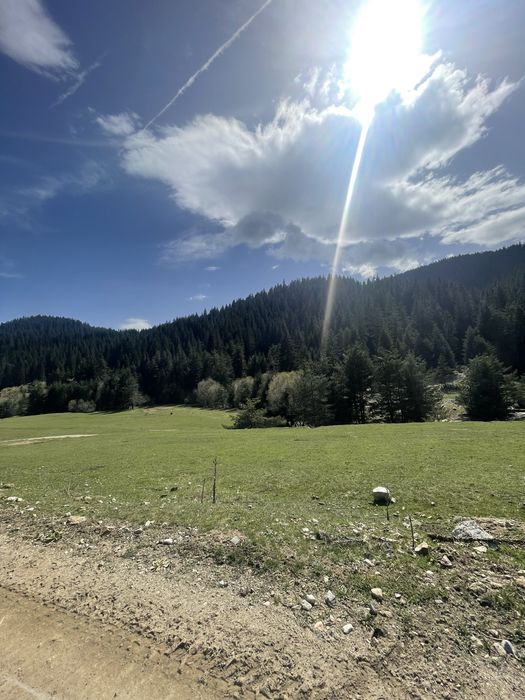 Продава се Земеделски имот в Самоков -  кв.м за 9466 €/дка - Снимка #6