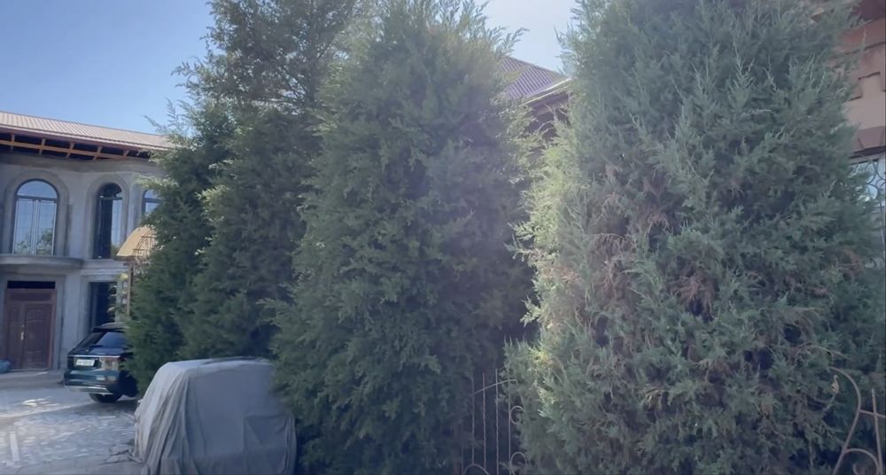 Срочная продажа!