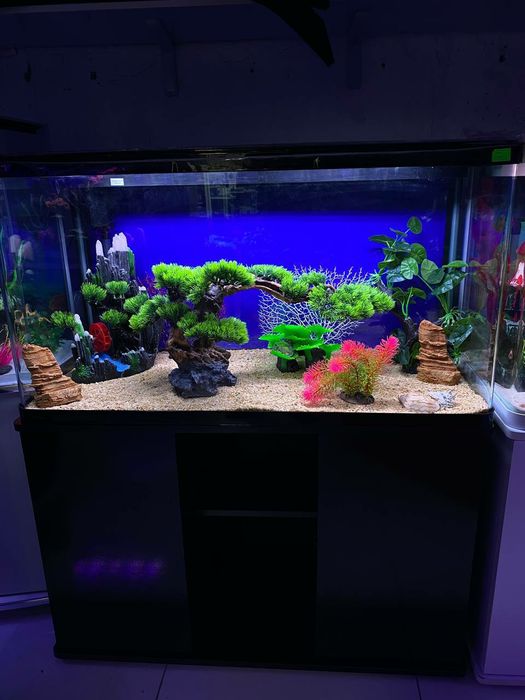 Akvarium magazin AquaTerra