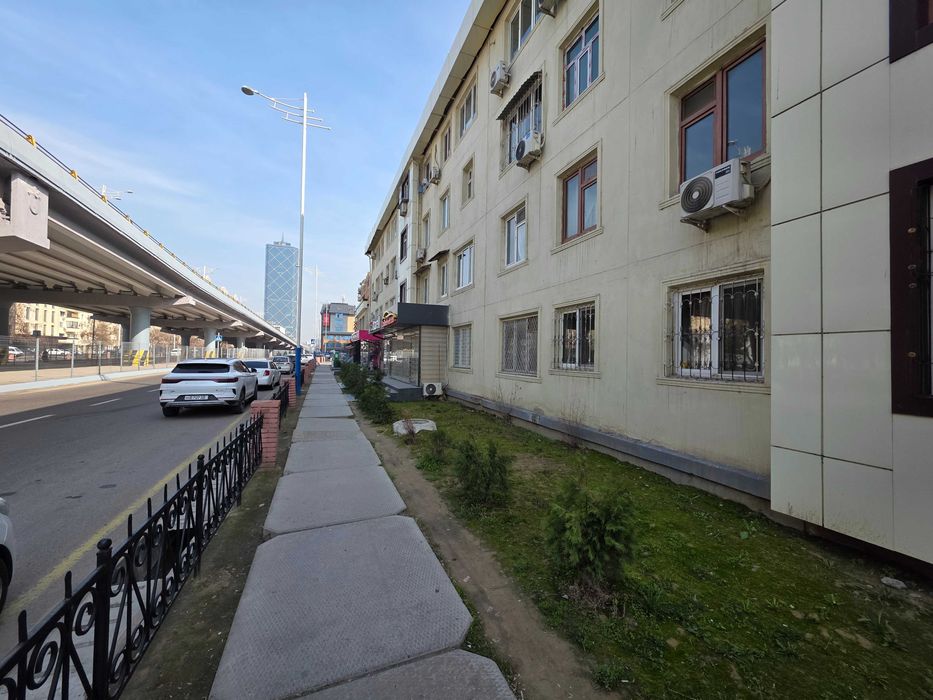 Мукими мост / Шота Руставели 43 м2. Фасад 9 метров