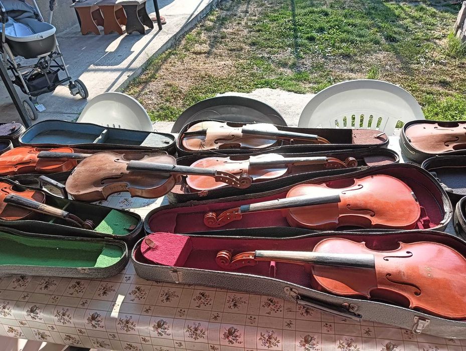 Viori și Violoncele ornamentale,
