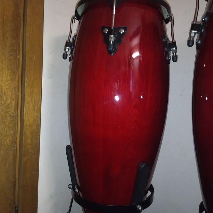 Професионални конги