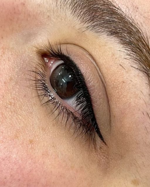 Micropigmentare Sprâncene/Buze/Pleoape