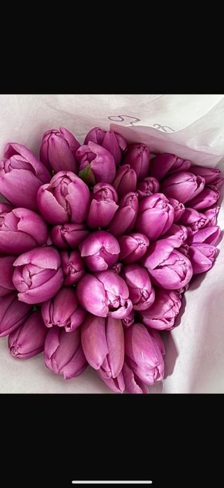 Предлагаю пионовидные тюльпаны.