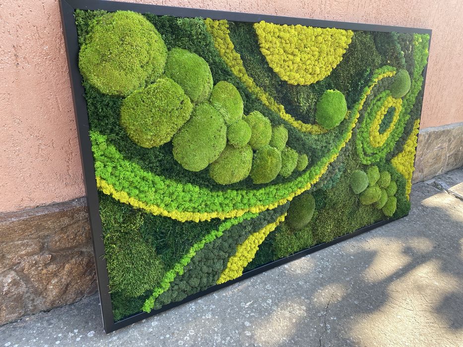 Tablouri cu licheni,muschi si plante stabilizate!