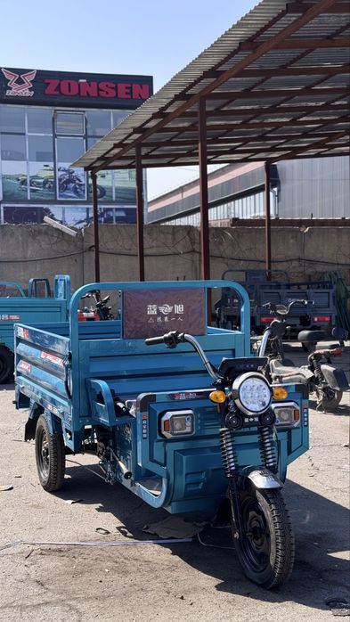 Трицикл муравей электрический