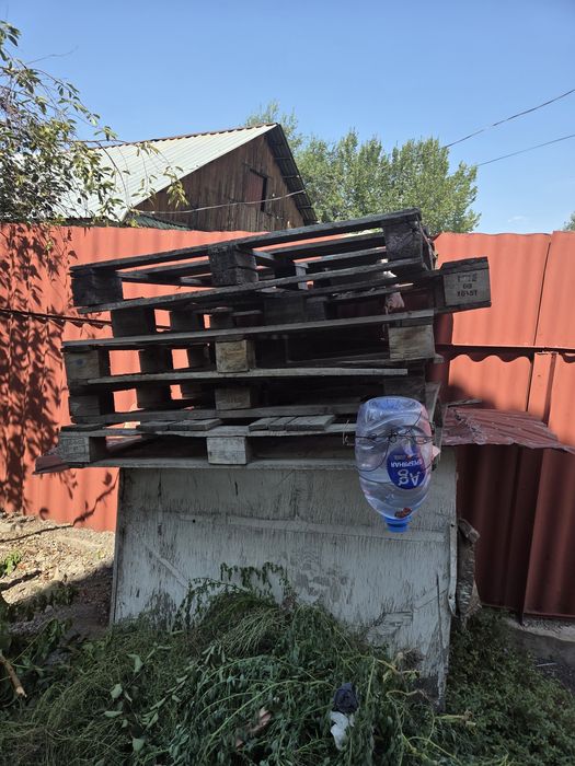 Дрова для топки печки