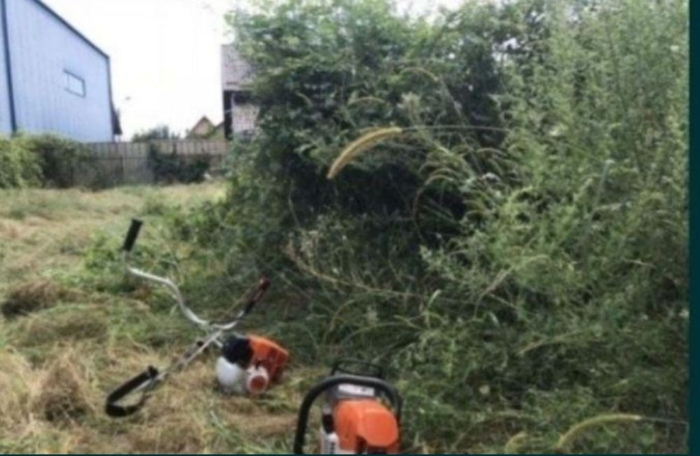 Executam ,Defrisari Demolari