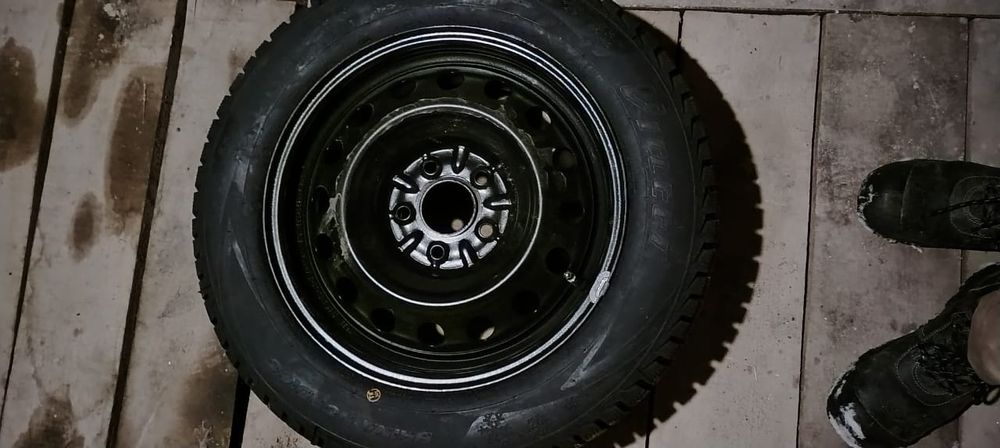 Қысқы дөнгелек, зимний шино