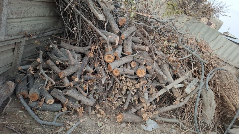 Утин сотилади...