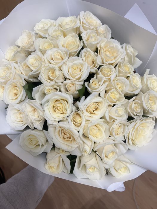 Белые розы свежие 51 шт