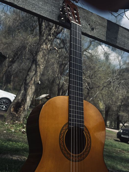 Гитара Yamaha c40