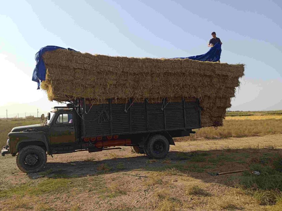 Dilnemer Gaz 53 sotiladi