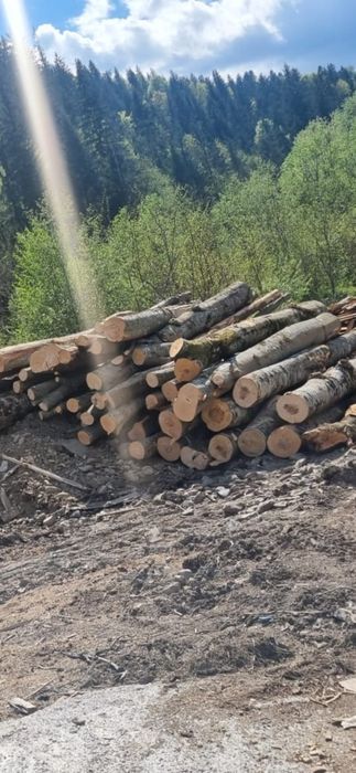 Lemn de foc și cherestea