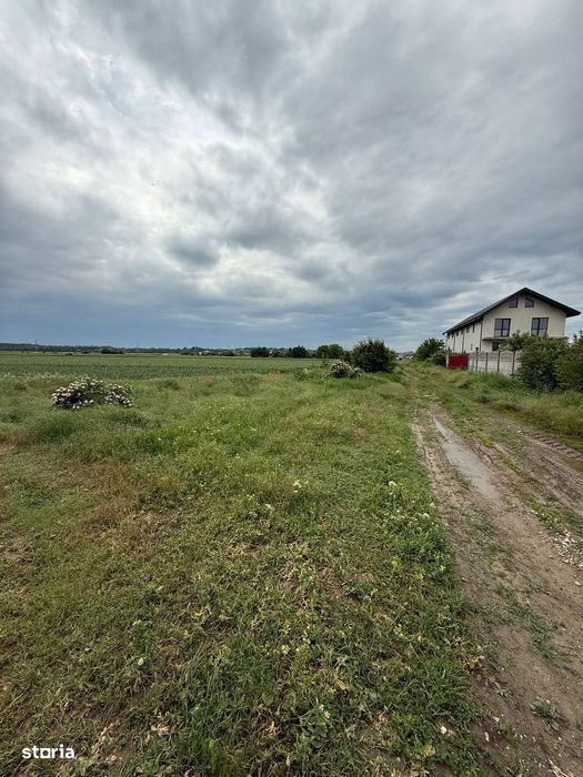 Teren de vanzare in Cornetu