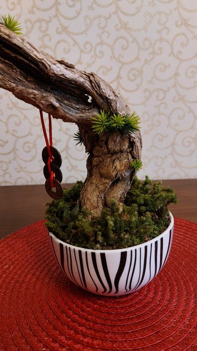 Бонсай ручная работа