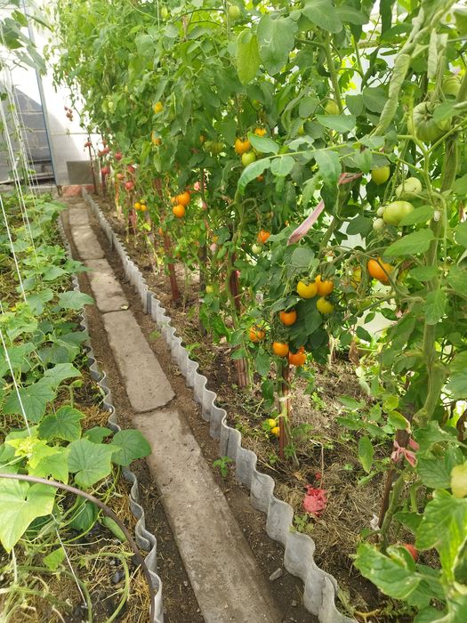 Продам дом-особняк