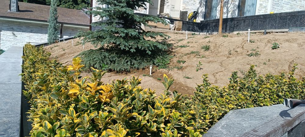 ландшафтный дизайн, газон, деревья и цветы landshaft dizayn, gazon, da