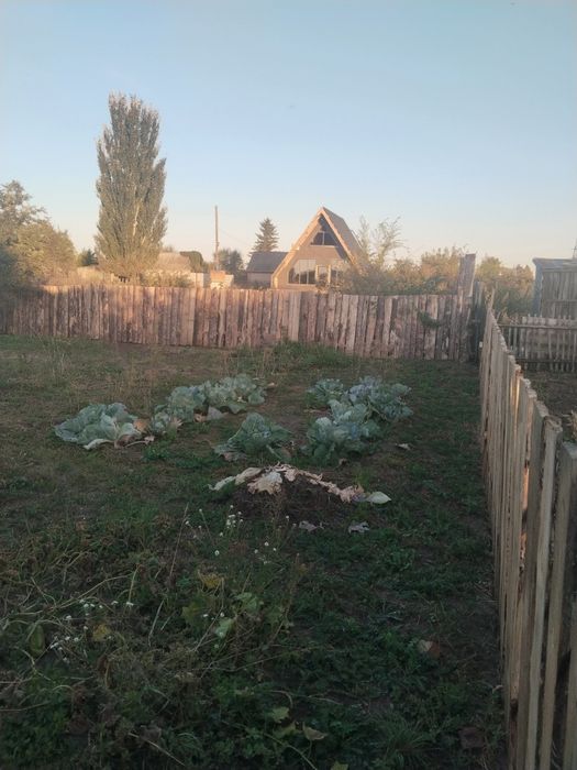 Дача Текстильщик 2,читайте внимательно.