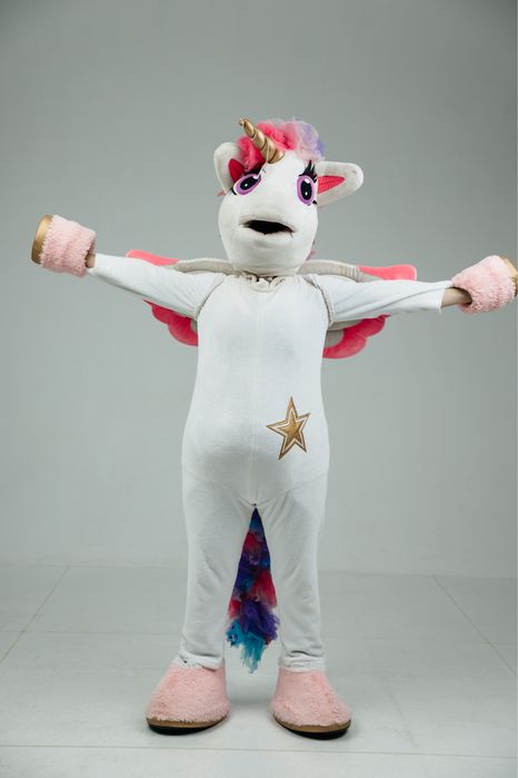 Продам аниматор уральск